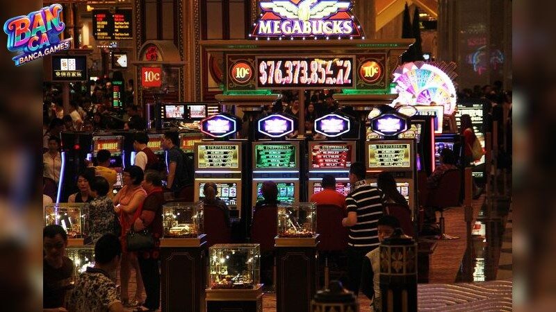 Sự Đa Dạng Và Độc Đáo Của Win79